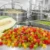 Tutti Frutti Manufacturing Process